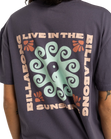 The Billabong Womens Sunshine Living T-Shirt in Black