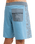The Billabong Mens Ty Williams Boardshorts in Multi