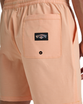 The Billabong Mens Every Other Day Layback Volley Shorts in Peach