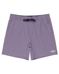 The Billabong Mens Every Other Day Layback Volley Shorts in Lavender