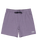 The Billabong Mens Every Other Day Layback Volley Shorts in Lavender