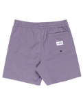 The Billabong Mens Every Other Day Layback Volley Shorts in Lavender