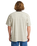 The Billabong Mens Baxter T-Shirt in Sand
