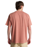 The Billabong Mens OG Wave T-Shirt in Dusty Rose