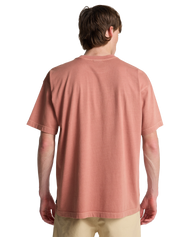 The Billabong Mens OG Wave T-Shirt in Dusty Rose