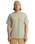 The Billabong Mens Arch Frame T-Shirt in Grey Green