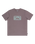 The Billabong Mens Arch Frame T-Shirt in Dusty Purple