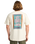 The Billabong Mens Adventure Division Fauna T-Shirt in Chino