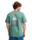 The Billabong Mens Adventure Division Totem T-Shirt in Sagebrush