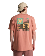 The Billabong Mens Good Times T-Shirt in Dusty Rose