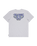 The Billabong Mens Re Issue T-Shirt in Light Grey Heather