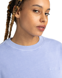The Element Womens Cornell 3.0 Sweatshirt in Blue Heron