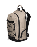 The Element Scheme Skate Backpack in Aluminium