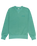 The Element Mens Cornell 3.0 Sweatshirt in Lagoon