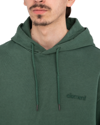 The Element Mens Cornell 3.0 Hoodie in Garden Topiary
