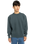 Lowcase Pigment Sweatshirt in Magical Forest