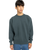 Lowcase Pigment Sweatshirt in Magical Forest
