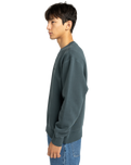 Lowcase Pigment Sweatshirt in Magical Forest