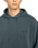 Lowcase Pigment Hoodie in Magical Forest