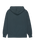 Lowcase Pigment Hoodie in Magical Forest