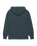Lowcase Pigment Hoodie in Magical Forest