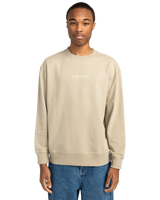 The Element Mens Cornell Cipher Crew Sweatshirt in Aluminum
