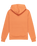 The Element Mens Cornell Classic Hoodie in Coral Gold