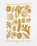 The Born by the Sea Womens Shells T-Shirt in Stone Wash White