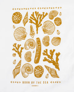 The Born by the Sea Womens Shells T-Shirt in Stone Wash White