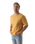 The Salt Water Seeker Mens Hideout T-Shirt in Faded Mustard