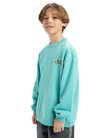 The Quiksilver Boys Boys Spin Cycle Crew Sweatshirt in Aqua Sky