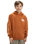 The Quiksilver Boys Boys Omni Logo Hoodie in Bran