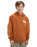 The Quiksilver Boys Boys Omni Logo Hoodie in Bran