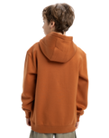 The Quiksilver Boys Boys Omni Logo Hoodie in Bran