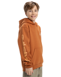 The Quiksilver Boys Boys Omni Logo Hoodie in Bran