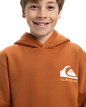 The Quiksilver Boys Boys Omni Logo Hoodie in Bran