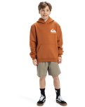 The Quiksilver Boys Boys Omni Logo Hoodie in Bran