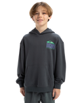 The Quiksilver Boys Boys Apog Heritage Hoodie in Iron Gate