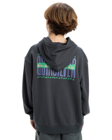 The Quiksilver Boys Boys Apog Heritage Hoodie in Iron Gate