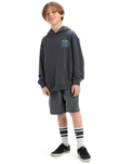 The Quiksilver Boys Boys Apog Heritage Hoodie in Iron Gate