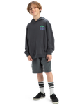 The Quiksilver Boys Boys Apog Heritage Hoodie in Iron Gate