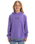 The Quiksilver Boys Boys Apog Heritage Hoodie in Dusted Peri