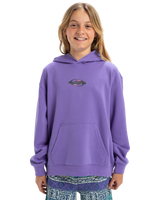 The Quiksilver Boys Boys Apog Heritage Hoodie in Dusted Peri