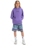 The Quiksilver Boys Boys Apog Heritage Hoodie in Dusted Peri