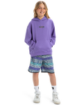 The Quiksilver Boys Boys Apog Heritage Hoodie in Dusted Peri