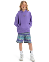 The Quiksilver Boys Boys Apog Heritage Hoodie in Dusted Peri