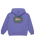 The Quiksilver Boys Boys Apog Heritage Hoodie in Dusted Peri