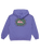 The Quiksilver Boys Boys Apog Heritage Hoodie in Dusted Peri