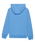 Boys Comp Logo Hoodie in Riviera