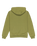 Boys Comp Logo Hoodie in Loden Green